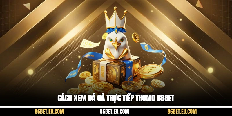 Cách xem đá gà trực tiếp Thomo 86bet