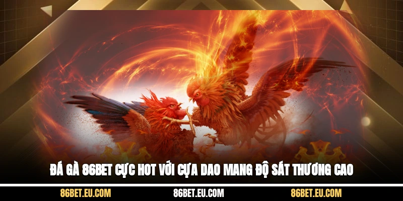 Đá gà 86bet cực hot với cựa dao mang độ sát thương cao