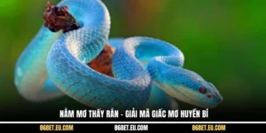 Nằm Mơ Thấy Rắn – Giải Mã Giấc Mơ Huyền Bí