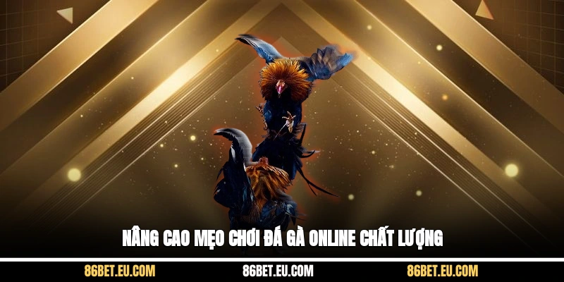 Nâng cao mẹo chơi đá gà online chất lượng