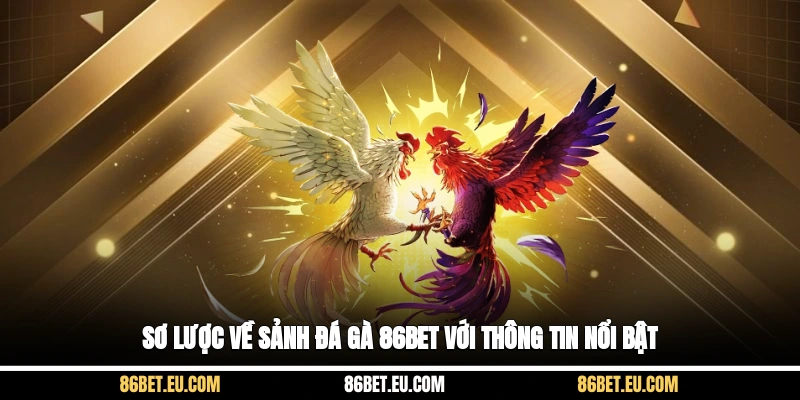Sơ lược về sảnh đá gà 86bet với thông tin nổi bật