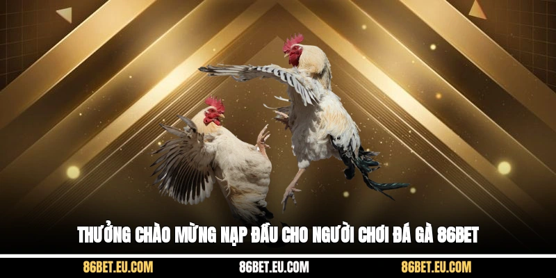 Thưởng chào mừng nạp đầu cho người chơi đá gà 86bet