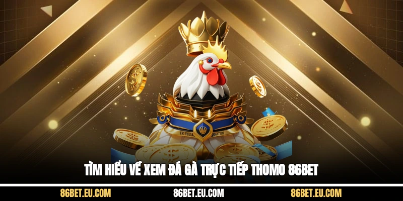 Tìm hiểu về xem đá gà trực tiếp Thomo 86bet