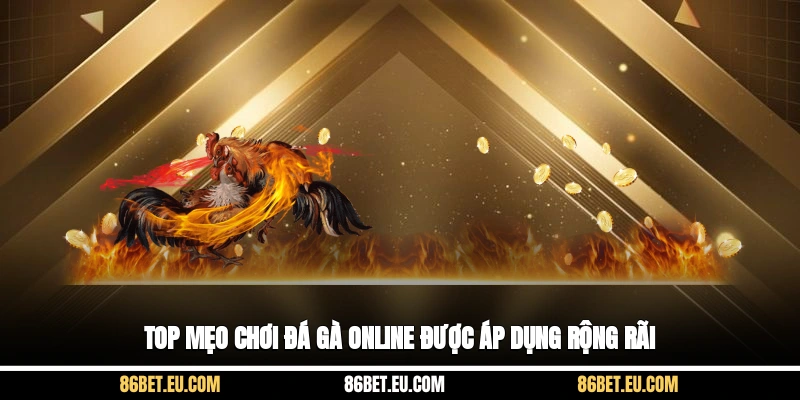 Top mẹo chơi đá gà online được áp dụng rộng rãi