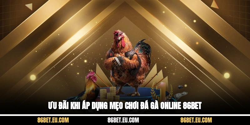 Ưu đãi khi áp dụng mẹo chơi đá gà online 86bet